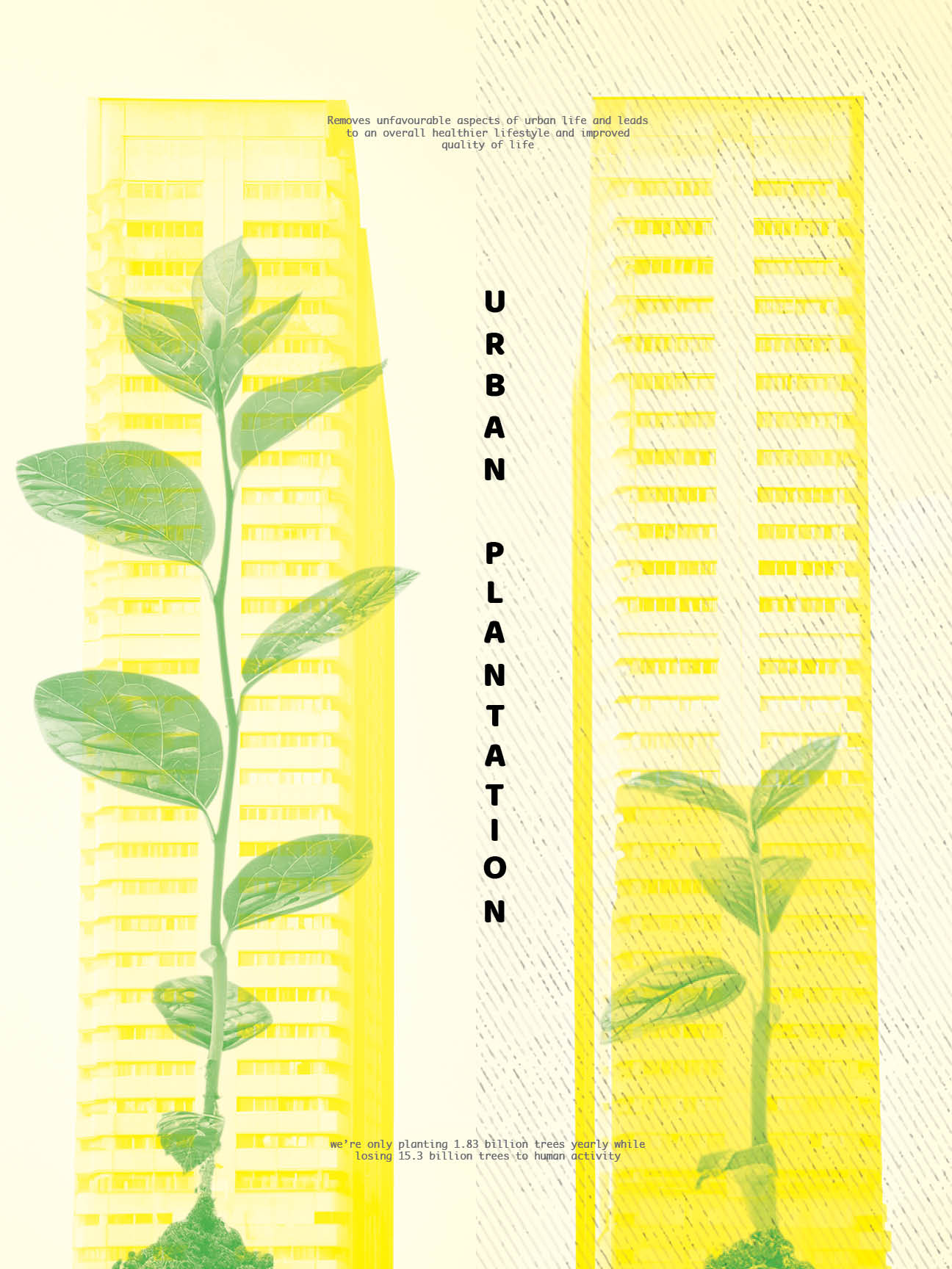 Graphic Design Work 3